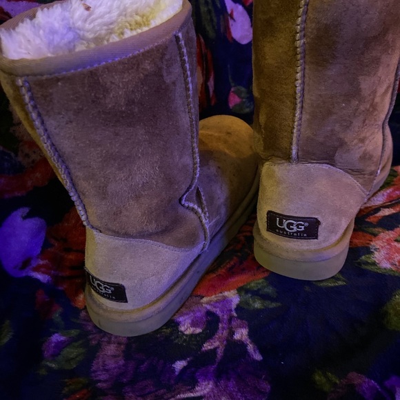 UGG Classic Short Boots 🛑SOLD🛑 - Picture 5 of 5